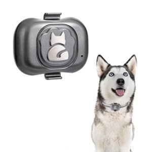Gps Tracker For Dogs 4g Locator Waterproof Anti-Lost Device Smart Phone Object Finder Small Alarm Pet Anti-Theft Device Collar