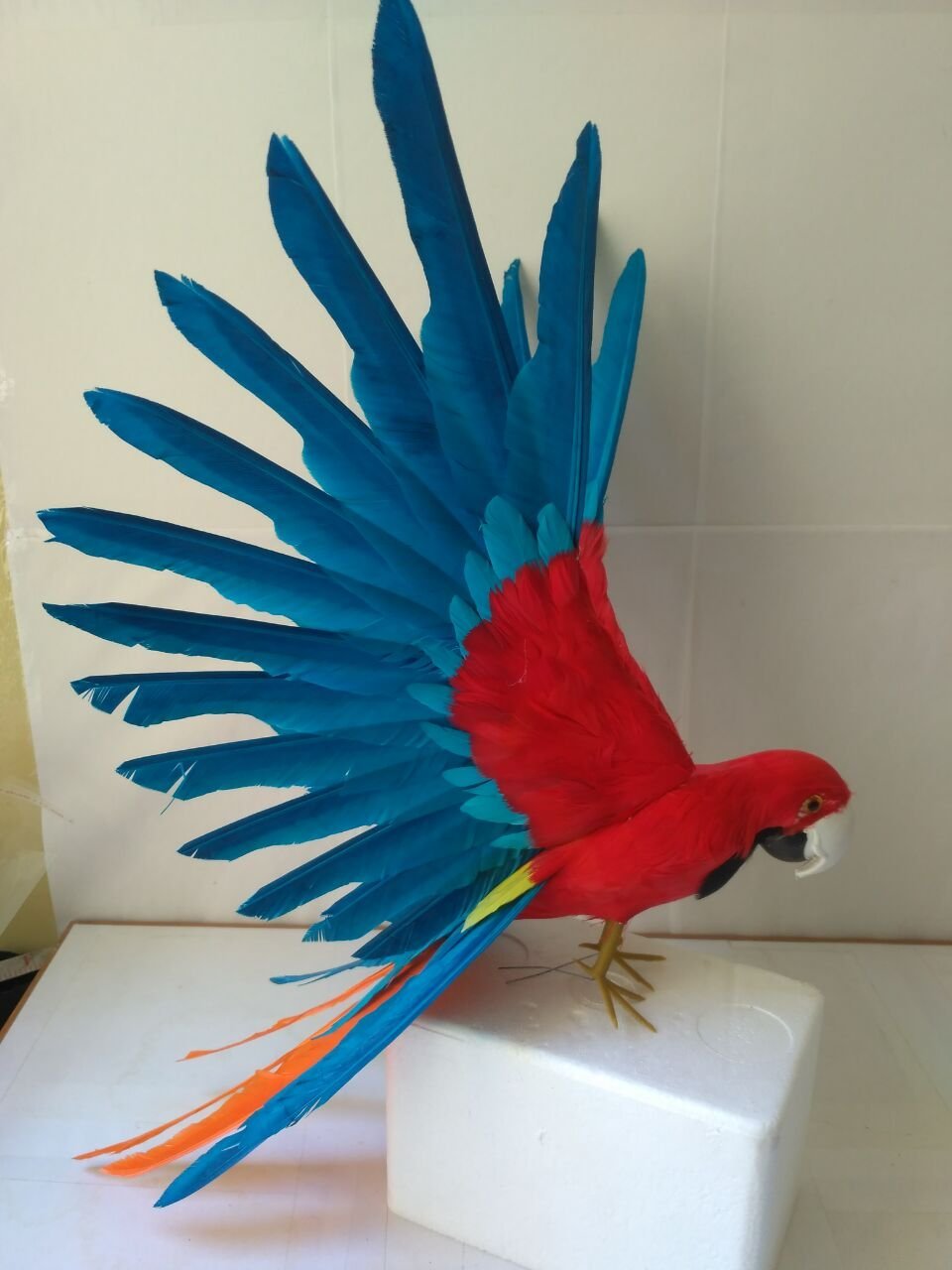 cute real life blue&red parrot model foam&feather wings parrot bird doll gift about 35x50cm d0235 - Image 3