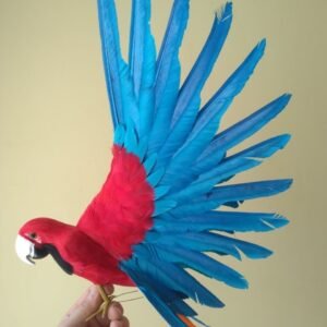 cute real life blue&red parrot model foam&feather wings parrot bird doll gift about 35x50cm d0235
